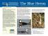 The Blue Heron News from San Francisco Nature Education u October 2015