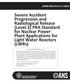 Severe Accident Progression and Radiological Release (Level 2) PRA Standard for Nuclear Power Plant Applications for Light Water Reactors (LWRs)