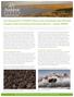 2017 Assessment of Wildlife Values in the Teshekpuk Lake Wetlands Complex within the National Petroleum Reserve Alaska (NPRA)