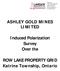 ASHLEY GOLD MINES LIMITED. Induced Polarization Survey Over the. ROW LAKE PROPERTY GRID Katrine Township, Ontario