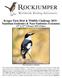 Kruger Park Bird & Wildlife Challenge Namibian Endemics & Near-Endemics Extension