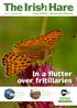 In a flutter over fritillaries. Ulster Wildlife s Membership Magazine. How to be wildlife aware this summer. Discover Ballynahone s brilliant bog life