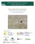 A Review of Bird Monitoring in Manitoba