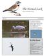 The Horned Lark. In this Issue. Kansas Ornithological Society. Fall, 2014 Vol. 41, No. 3