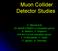 Muon Collider Detector Studies