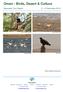 Oman - Birds, Desert & Culture