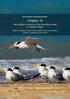 Part II: Species and species groups. Chapter 14. Vulnerability of seabirds on the Great Barrier Reef to climate change