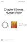 Chapter 6 Human Vision