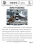Volume XV, Advanced Edition 25 n2y.com BIRD FEEDING. Feeding the birds is fun!