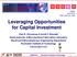 Leveraging Opportunities for Capital Investment