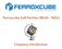 Ferroxcube Soft Ferrites (MnZn - NiZn) Company Introduction