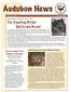 Audubon News. Volume 13, Issue 3 November 2007