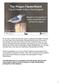 The Project FeederWatch Top 20 feeder birds in New England
