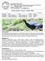 18 days Sichuan: Land of Chinese Birds