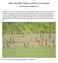 White Pine Mine Tailings Area Bird Survey Report