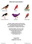 Which bird is your favorite?