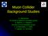 Muon Collider Background Studies