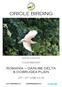 ORIOLE BIRDING ROMANIA DANUBE DELTA & DOBRUGEA PLAIN TOUR REPORT. Squacco Heron (Lawrence Hurst)