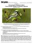 BIRDING TOURS WORLDWIDE. ITINERARY Pennsylvania s Warblers & More: From Cerulean Warbler to Henslow s Sparrow May 22-27, 2018
