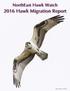NorthEast Hawk Watch 2016 Hawk Migration Report