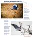 BirdWalk Newsletter Walk Conducted by Perry Nugent Jayne J. Matney