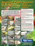 Absolute Public Auction NEW BUILDING MATERIALS, TOOLS, MATTRESSES & MORE!