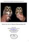 Northern Saw whet Owl Migration Monitoring Report 2015