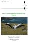 Gibson s wandering albatross population study 2014/15