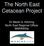 The North East Cetacean Project. Dr Martin S. Kitching North East Regional Officer MARINElife