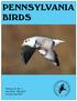 PENNSYLVANIA BIRDS. Contents. Volume 31 Number 1 Dec Feb Seasonal Editors. Journal of the Pennsylvania Society for Ornithology