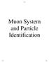 Muon System and Particle Identification