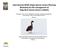 International AEWA Single Species Action Planning. Taiga Bean Goose (Anser f. fabalis)