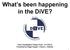 What s been happening in the DiVE? Duke Visualization Friday Forum: 4/17/2015 Presented by Regis Kopper + David J. Zielinski 1