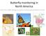 Butterfly monitoring in North America. Leslie Ries, UMD, Biology and Socio-environmental Synthesis Center