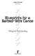 Insight Text Guide. Brigid Magner. i n s i g. Blueprints for a Barbed-Wire Canoe. Wayne Macauley. h t. Insight Publications