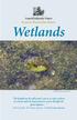 Habitat Discovery Series Wetlands