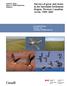 Surveys of geese and swans in the Inuvialuit Settlement Region, Western Canadian Arctic,