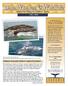 Getting to know gray whales in Laguna San Ignacio