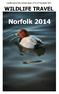 Norfolk species lists and trip report, 5 th to 11 th December 2014 WILDLIFE TRAVEL. Norfolk 2014
