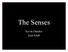 The Senses. Kevin Dutcher Kurt Klaft