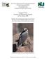 Peregrine Falcon Research and Management Program in New Jersey, 2008