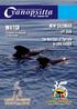 WATCH NEW CALENDAR LPF The Nutrition of Parrots in LORO PARQUE. Protection of cetaceans of Macaronesia. Nº87 - December 2007