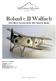 Roland c.ii Walfisch Ultra Micro Cartoon Scale WW I Electric Model