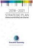 Executive Summary Fecha de preparación del Plan Estratégico: Marzo 2017
