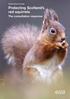 Protecting Scotland s red squirrels
