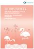 GREATER FLAMINGO STATUS AND CONSERVATION ANNUAL SUMMARY REPORT