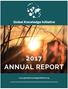 Global Knowledge Initiative 2017 ANNUAL REPORT.