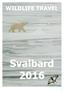 WILDLIFE TRAVEL Svalbard 2016