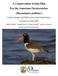 A Conservation Action Plan For the American Oystercatcher (Haematopus palliatus)