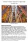 Architecture & Geometry: Antoni Gaudi & La Sagrada Familia